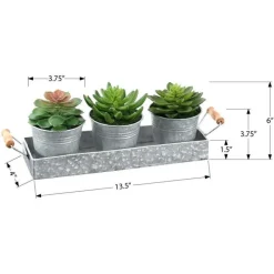 Monarch 6" Artificial Plant (Set of 3)