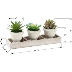 Monarch 6" Artificial Plant (Set of 3)