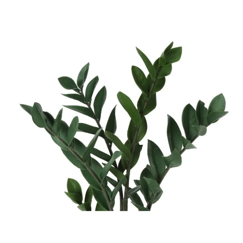 Monarch Artificial plant - 29"h / indoor zz in a 6" pot