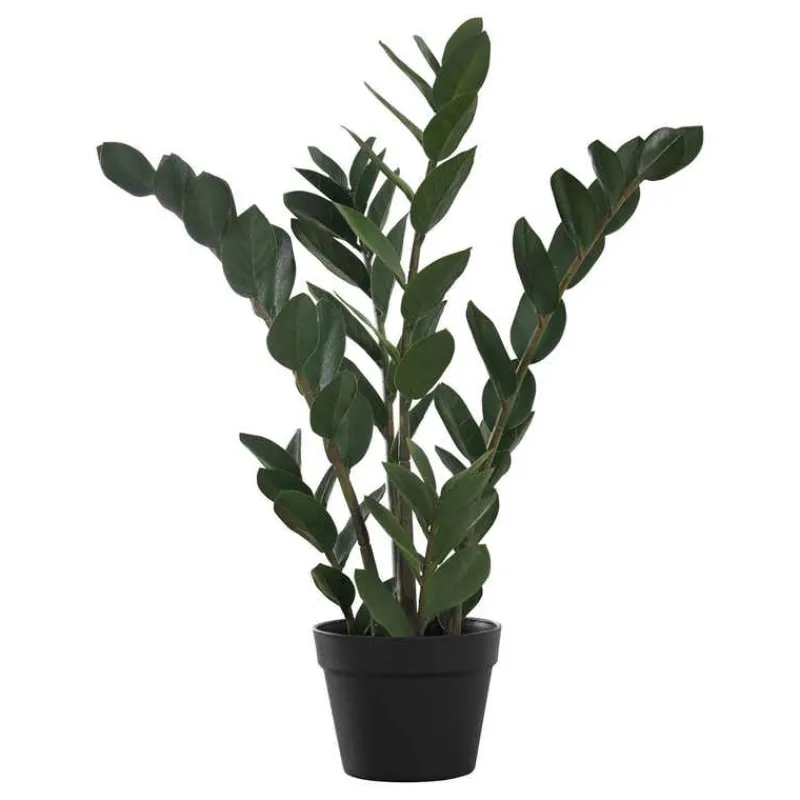 Monarch Artificial plant - 29"h / indoor zz in a 6" pot