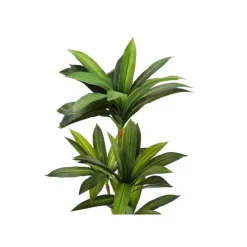 Monarch Artificial plant - 51"h / indoor dracaena in a 5" pot