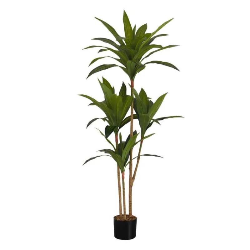 Monarch Artificial plant - 51"h / indoor dracaena in a 5" pot