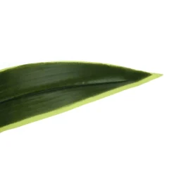 Monarch Artificial plant - 47