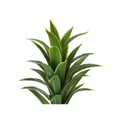 Monarch Artificial plant - 47