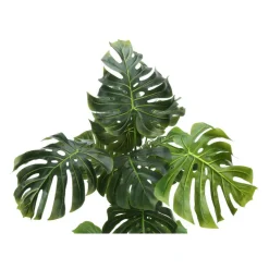 Monarch Artificial plant - 55"h / indoor monstera in a 6" pot