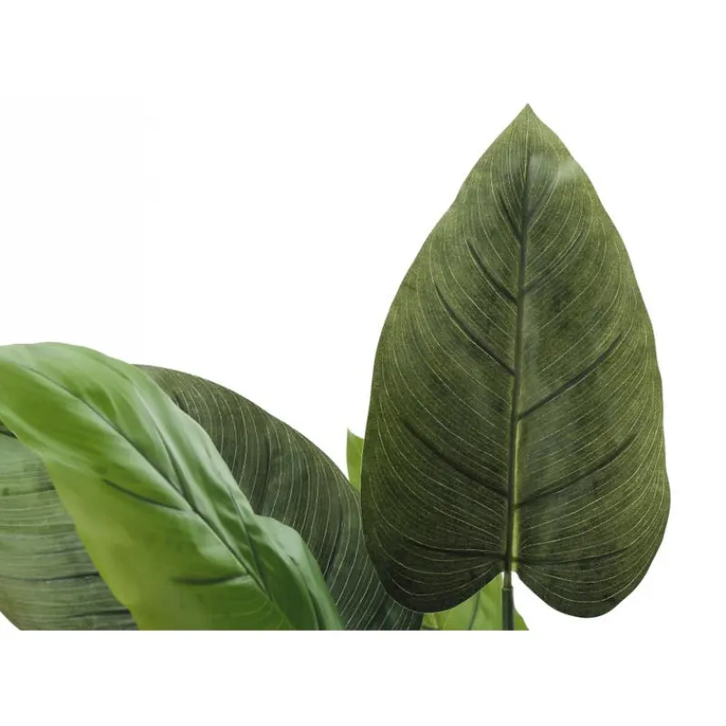 Monarch Artificial plant - 37"h / indoor aureum in a 6" pot