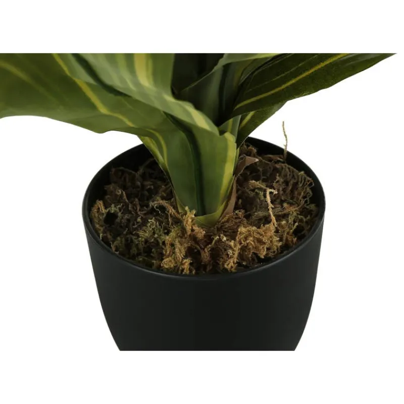Monarch Artificial plant - 17"h / indoor dracaena in a 4" pot