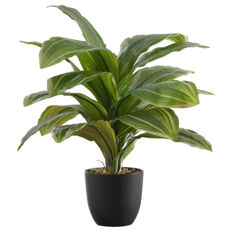 Monarch Artificial plant - 17"h / indoor dracaena in a 4" pot