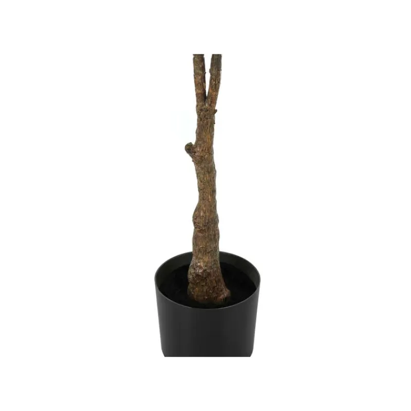 Monarch Artificial plant - 52"h / indoor rubber tree in a 5" pot