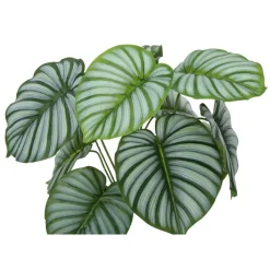 Monarch Artificial plant - 24"h / indoor calathea in a 5" pot