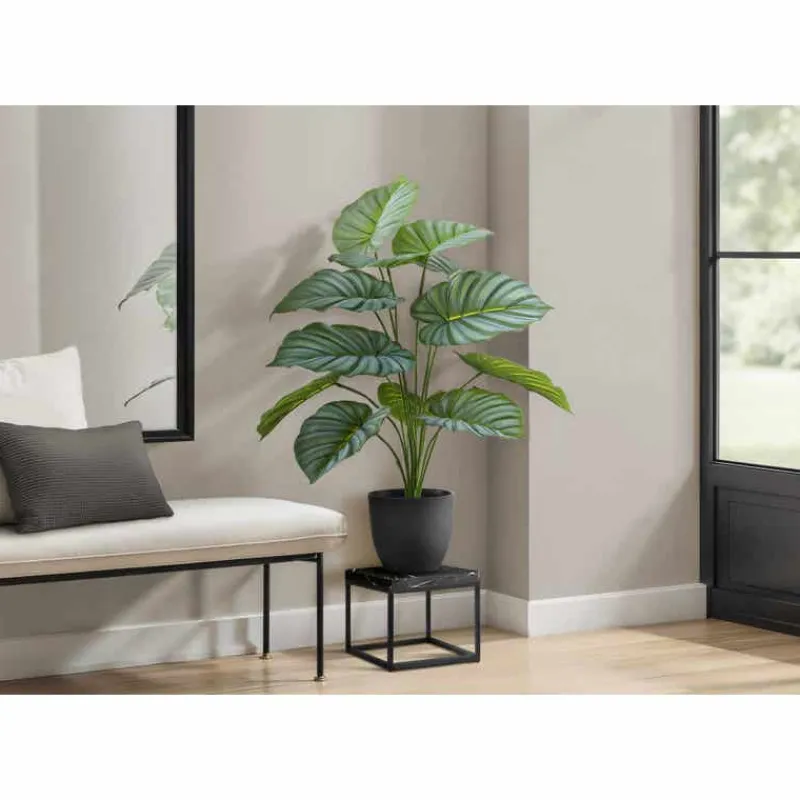 Monarch Artificial plant - 24"h / indoor calathea in a 5" pot