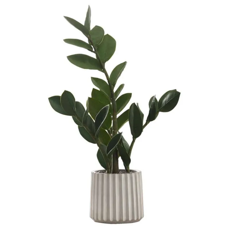 Monarch Artificial plant - 20"h / indoor zz in a 5" cement pot