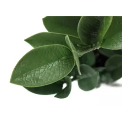 Monarch Artificial plant - 20
