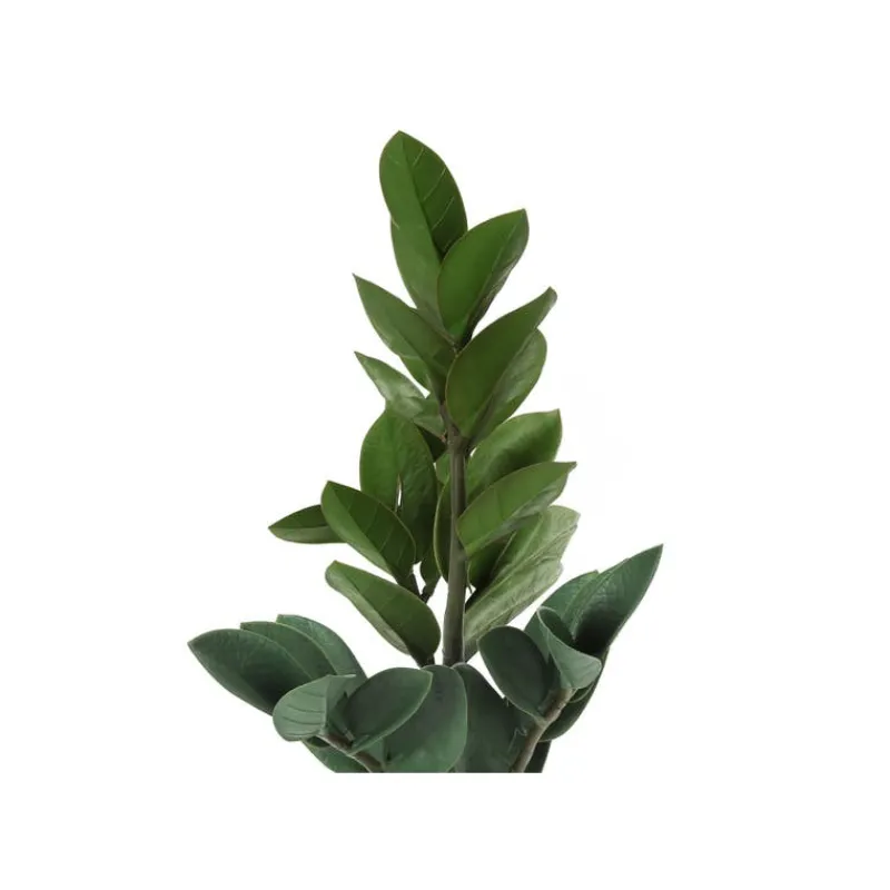 Monarch Artificial plant - 20"h / indoor zz in a 5" cement pot