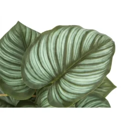 Monarch Artificial plant - 2pcs / 13