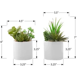 Monarch Artificial plant - 2pcs / 7"h succulent in 3" ceramic pot