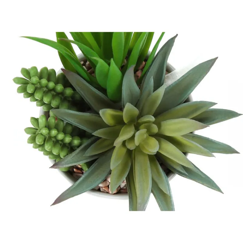 Monarch Artificial plant - 2pcs / 7"h succulent in 3" ceramic pot