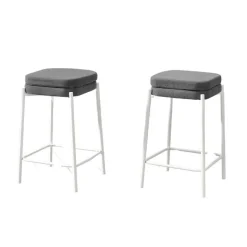 Monarch Barstool (Set of 2)