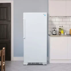 Danby 17 cu ft 30 In all refrigerator All refrigerator - DAR170A3WDD