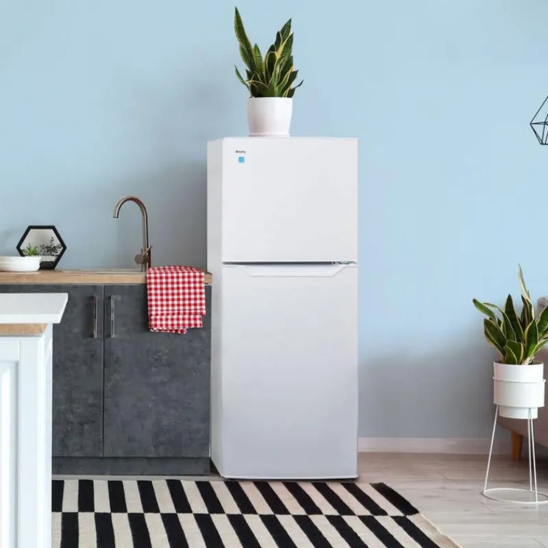 Danby 24 in 11 Cu ft Refrigerator Top Freezer - DFF116B2WDBR