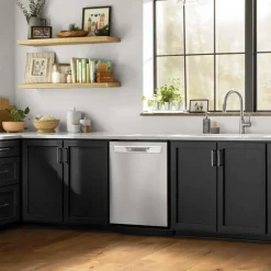 Frigidaire Gallery dishwasher Built-In 24