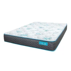Dreamstar Full Firm Foam Mattress-in-a-Box - 54"