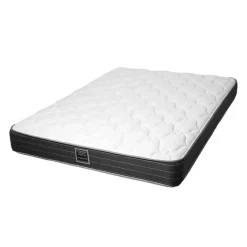 Dreamstar Full Medium-Firm Mattress with Springs - 54