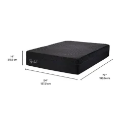 Dreamstar Full Medium-Firm Memory Foam Mattress-in-a-Box - 54