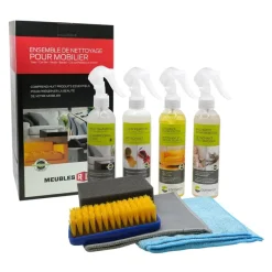 Furniture Cleaning Kit