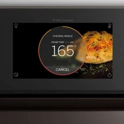 GE Profile 30 In Built-In Wall Oven 30" Electric - PTS9000SNSS