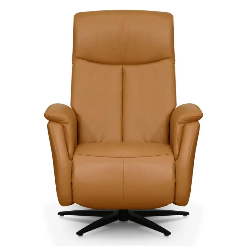 Genuine Leather Swivel Power Recliner -