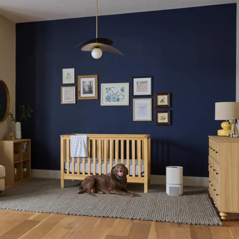 Frigidaire HEPA Air Purifier - 177 sq. ft.