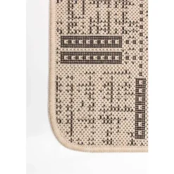 Indoor or Outdoor Rug - 2 x 4