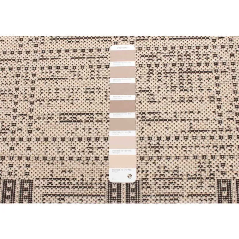 Indoor or Outdoor Rug - 2 x 4