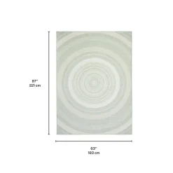 Indoor or Outdoor Rug - 5 x 7