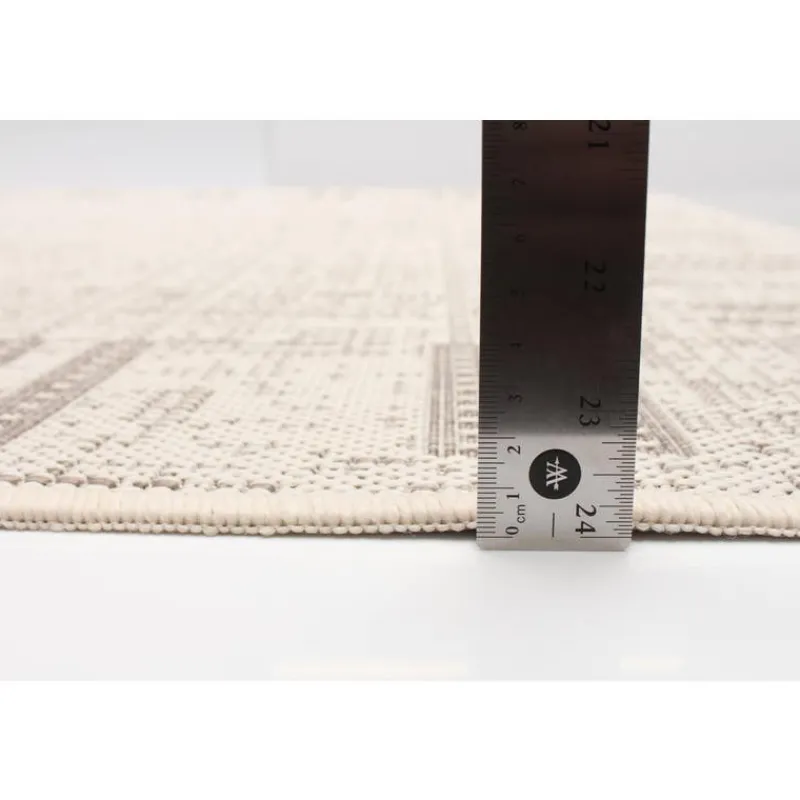 Indoor or Outdoor Rug - 4 x 6