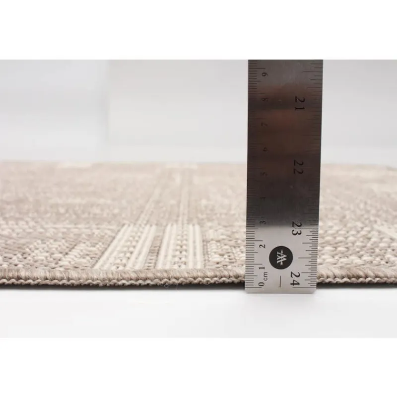 Indoor or Outdoor Rug - 4 x 6