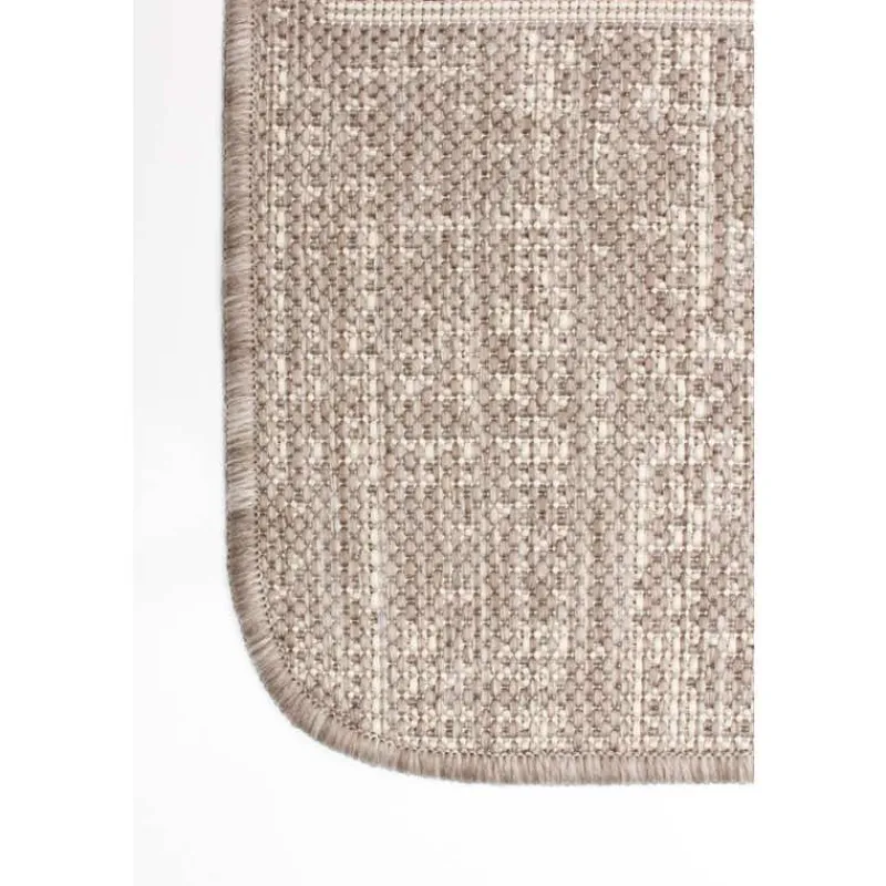 Indoor or Outdoor Rug - 4 x 6