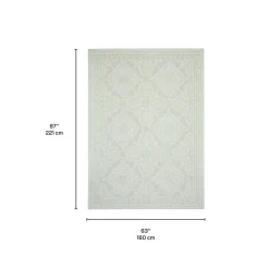 Indoor or Outdoor Rug - 5 x 7