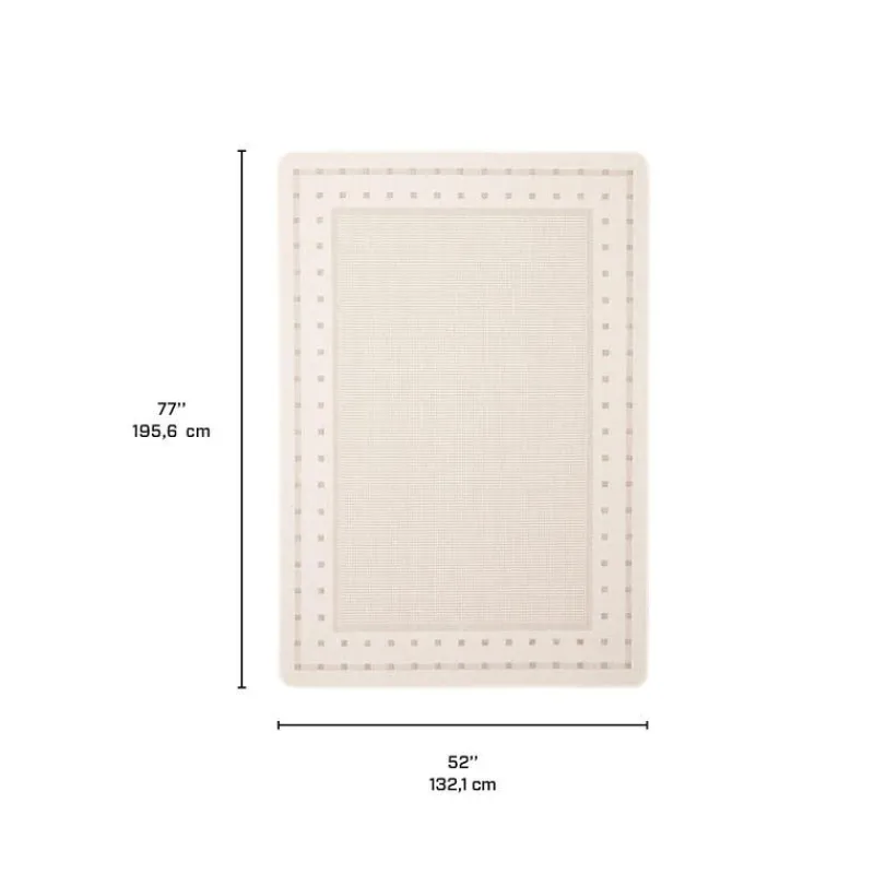 Indoor or Outdoor Rug - 4 x 6
