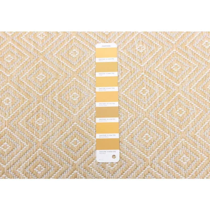 Indoor or Outdoor Rug - 7 x 10