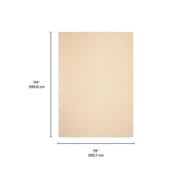 Indoor or Outdoor Rug - 7 x 10