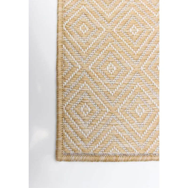 Indoor or Outdoor Rug - 7 x 10