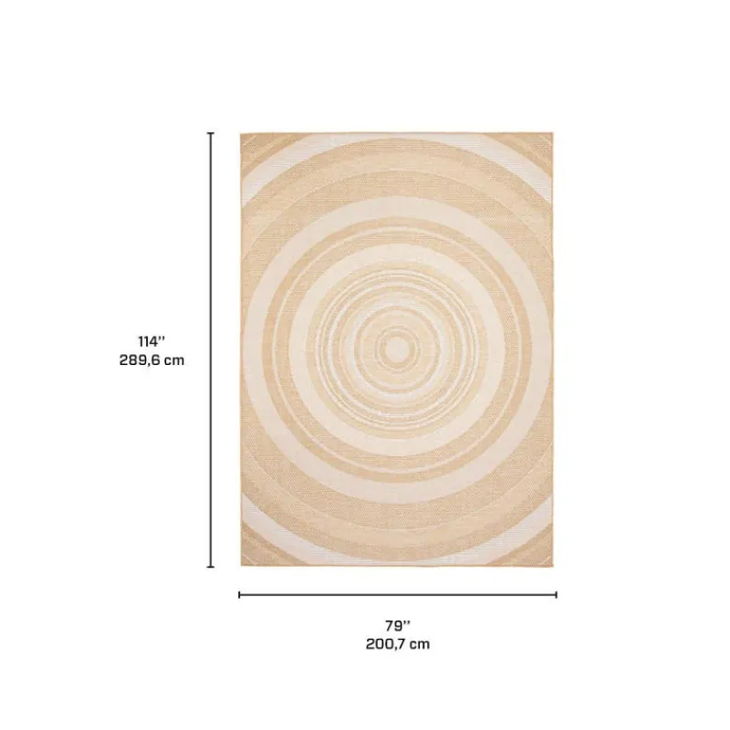 Indoor or Outdoor Rug - 7 x 10