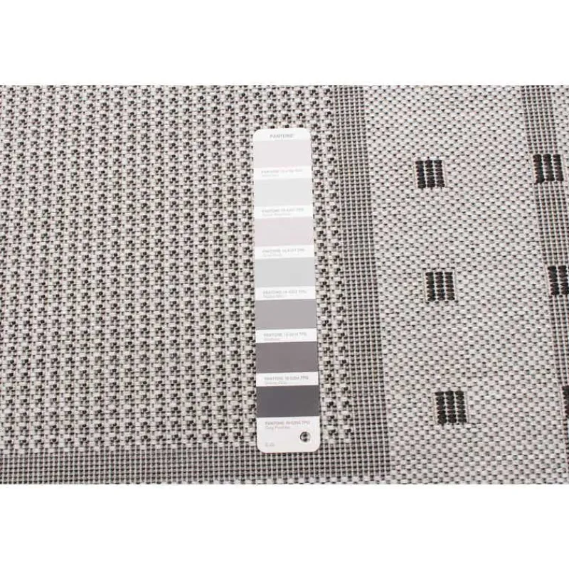 Indoor or Outdoor Rug - 4 x 6