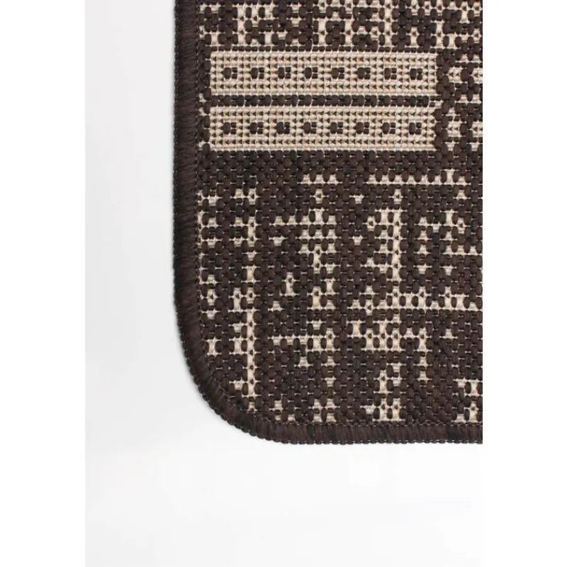 Indoor or Outdoor Rug - 2 x 4