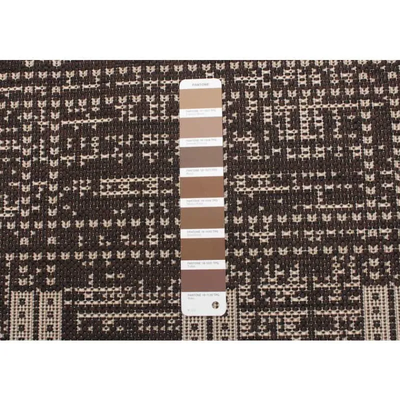 Indoor or Outdoor Rug - 2 x 4