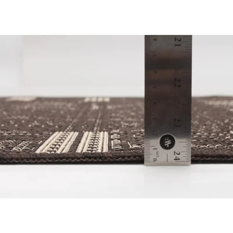 Indoor or Outdoor Rug - 2 x 4