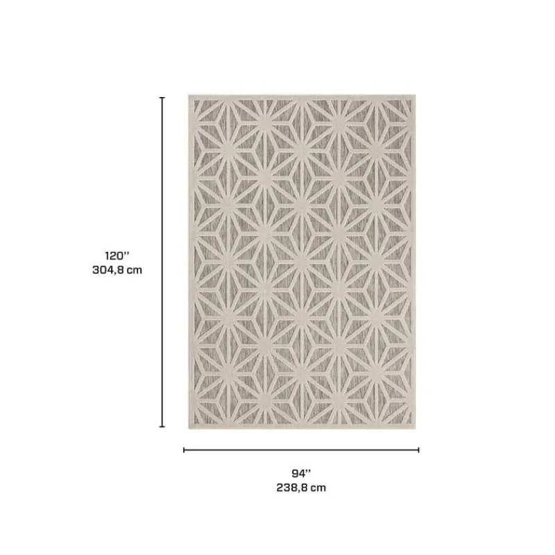 Indoor or Outdoor Rug - 8 x 10
