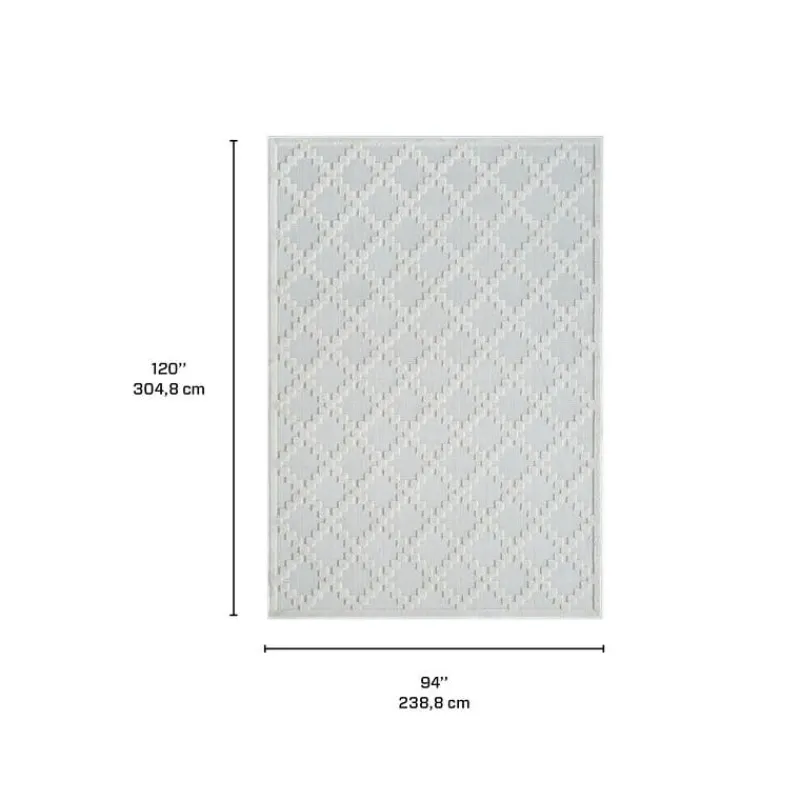 Indoor or Outdoor Rug - 8 x 10